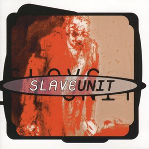 Slave Unit