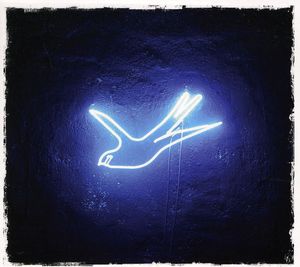Neon Blue Bird
