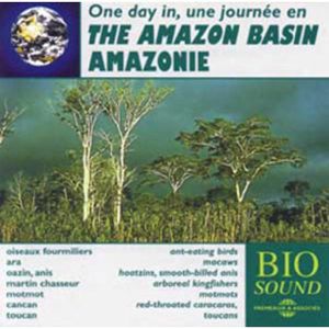 The Amazon Basin