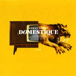 Domestique