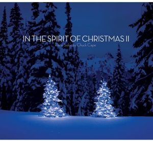 In the Spirit of Christmas 2