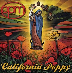California Poppy