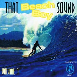 That Beach Boy Sound