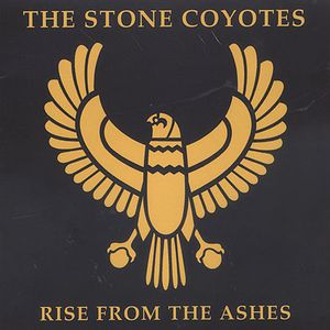 Rise from the Ashes