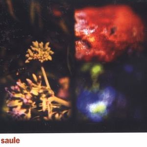 Saule