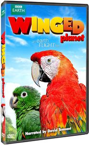 Winged Planet