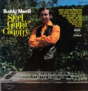 Steel Guitar Country