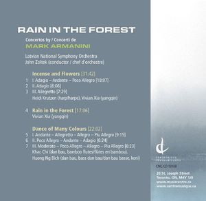 Rain in the Forest