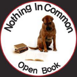 Open Book (IMPORT)