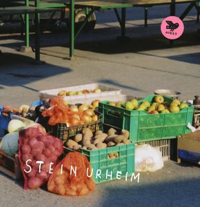 Stein Urheim