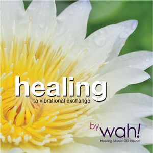 Healing: A Vibrational Exchange