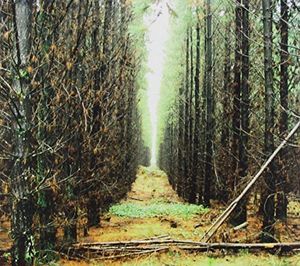 In Gloom [Import]