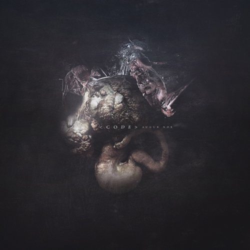 Augur Nox [Import]