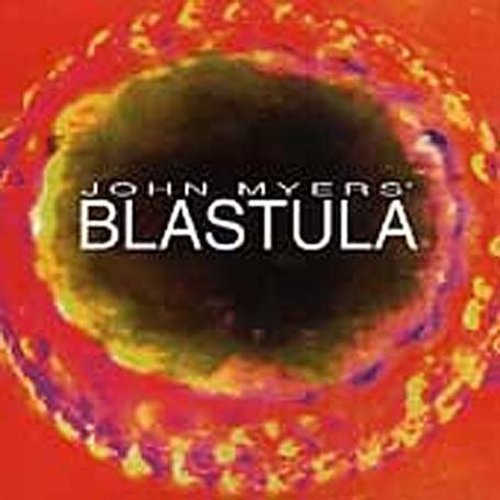 Blastula