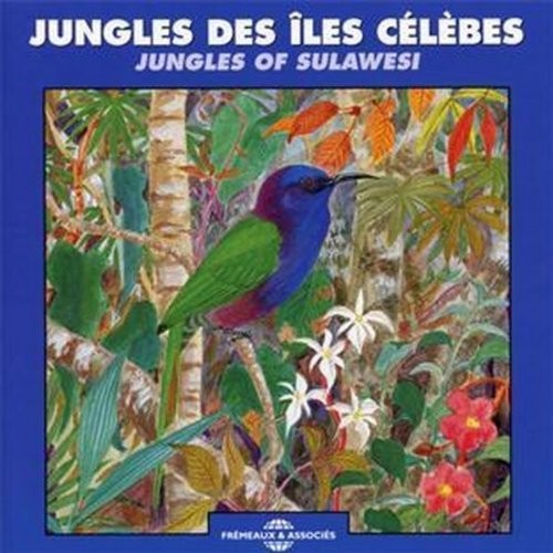Jungles of Sulawesi