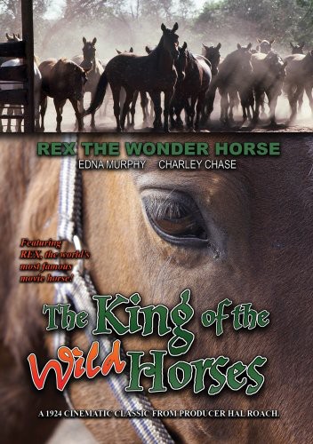 King of the Wild Horses