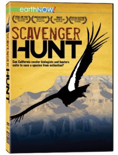 Scavenger Hunt