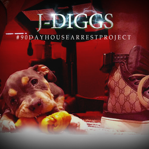 #90Dayhousearrestproject [Explicit Content]