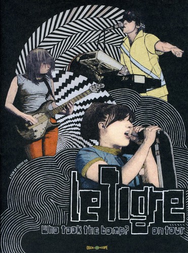 Who Took the Bomp: Le Tigre on Tour