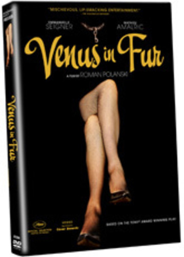 Mathieu Amalric - Venus in Fur (DVD)