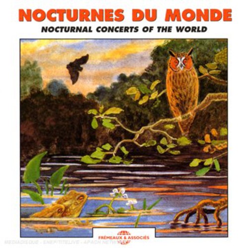 Nocturnal Concerts of the World