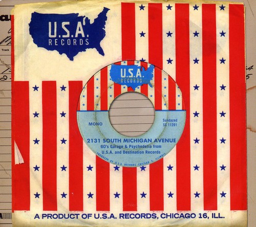 2131 South Michigan Avenue: 60's Garage and Psychedelia From USA AndDestination Records