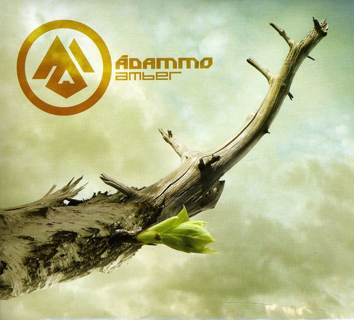Amber [Import]
