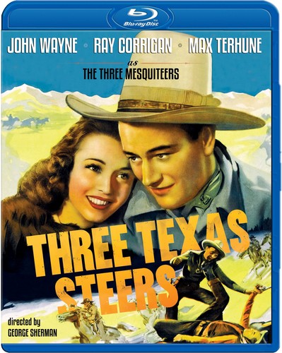 Three Texas Steers