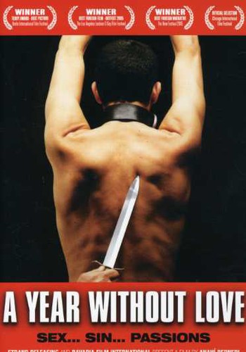A Year Without Love