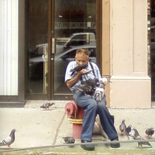 I Will Raise a Bird Army|Renee-Louise Carafice