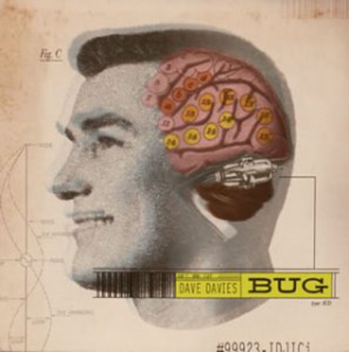 Bug [Import]