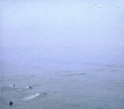 Sky's Run Into the Sea