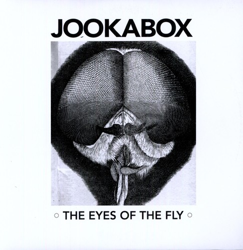 The Eyes Of The Fly
