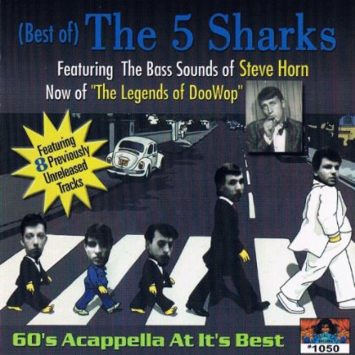 Best of the 5 Sharks