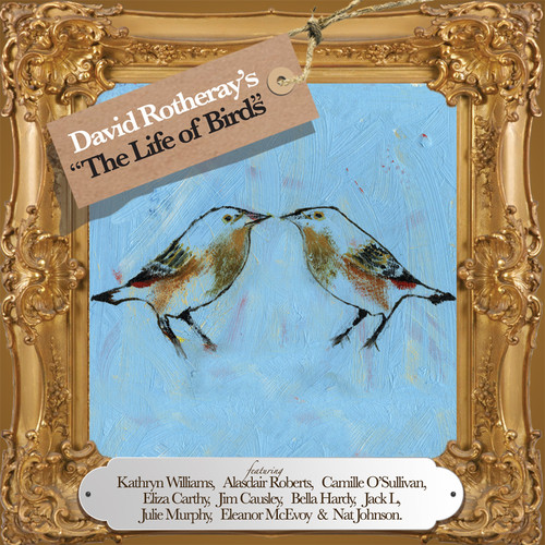 The Life Of Birds