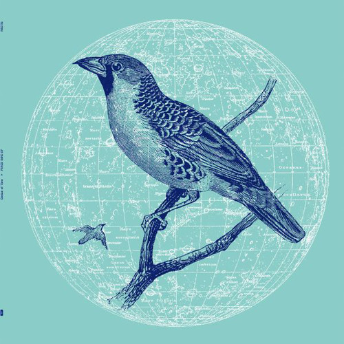 Peace Bird|Genius Of Time
