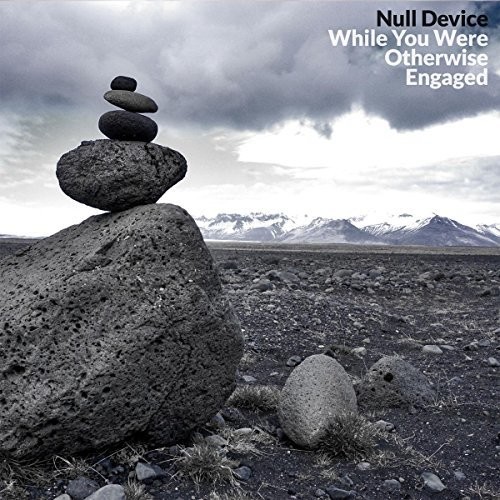 While You Were Otherwise Engaged