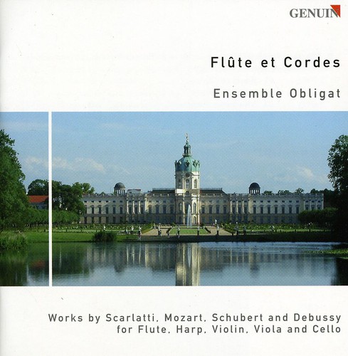 Flute & Strings