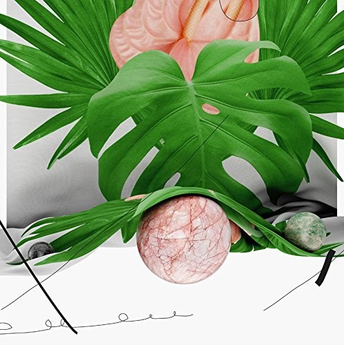 Year of the Dragon|Hatchback