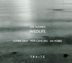 Traits