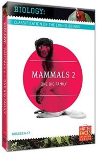 Biology Classification: Mammals 2