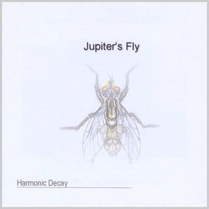 Jupiter's Fly