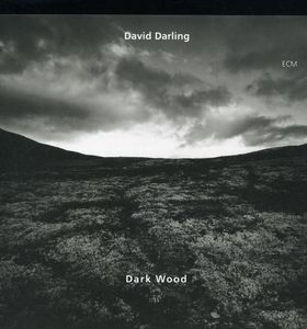 Darkwood