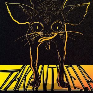 Good Luck-Black Cat-Bad Luck (IMPORT)
