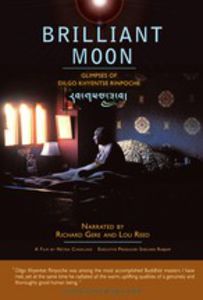 Brilliant Moon