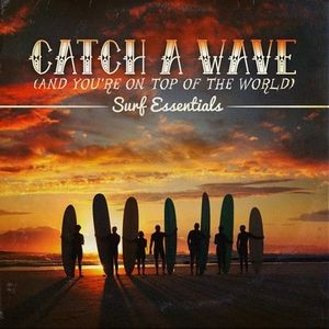 Catch a Wave / Various