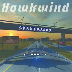 Spacehawks