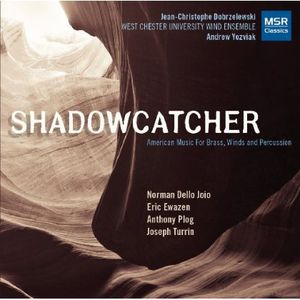 Shadow Catcher