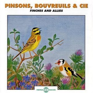 Finches & Allies