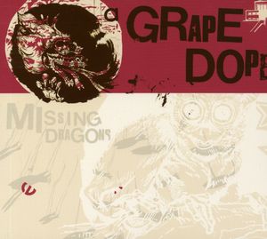 Missing Dragons
